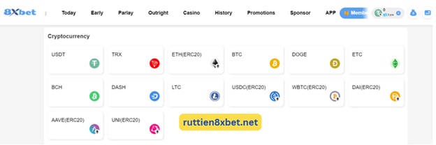 Hướng dẫn nạp tiền vào tài khoản 8xbet bằng tiền điện tử một cách an toàn